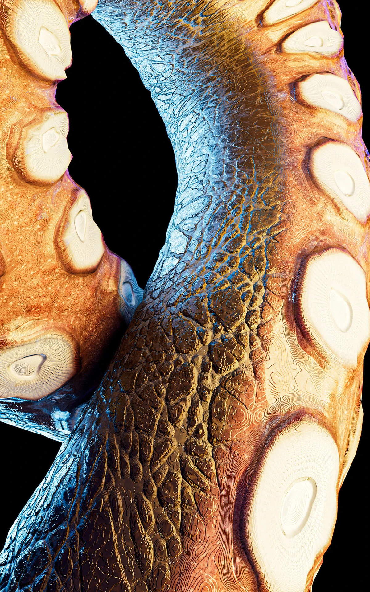 Simulación Bio-Orgánica: Pulpo PBR